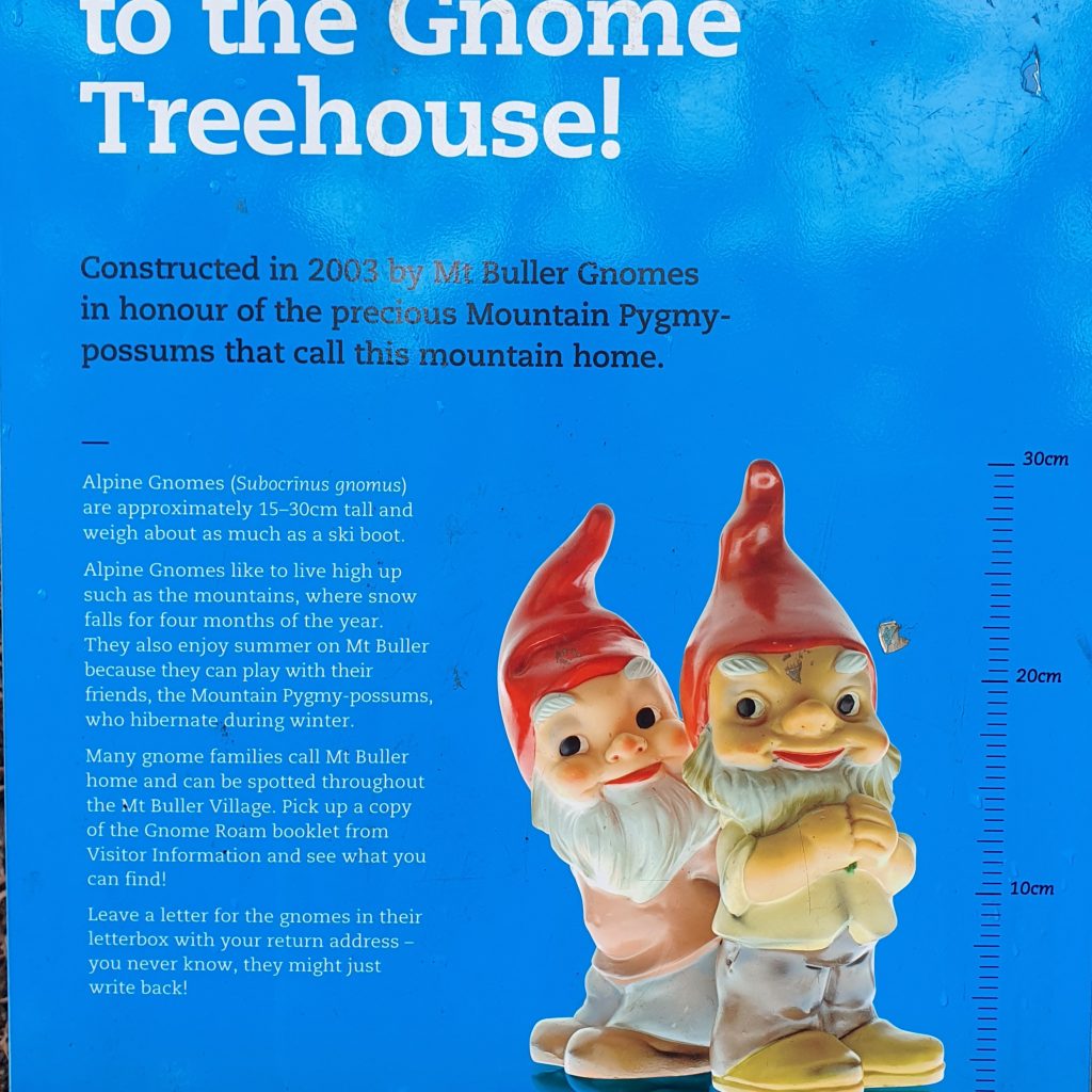 Gnome Tree House AMS Mt Buller