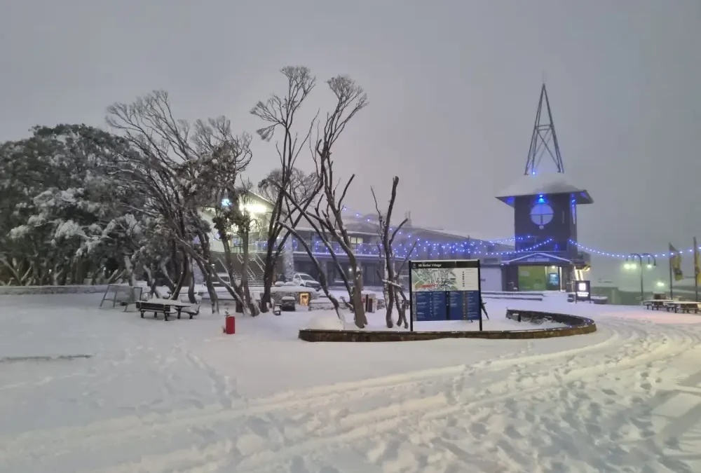 Mountain Magic – Meet the people that make AMS special