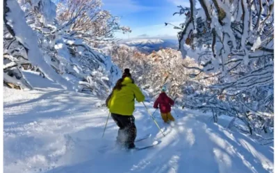 Snow Vibes, Mountain Rides & Saving Dimes – Our favourite time of the year at Mt Buller is almost here!