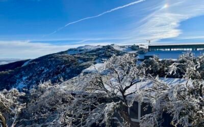Unplug to Recharge: Embracing a Digital Detox at Mt Buller
