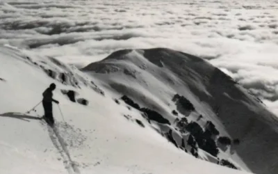 Mt. Buller Ski Patrol Australia’s Oldest and Most Trusted Mountain Guardians