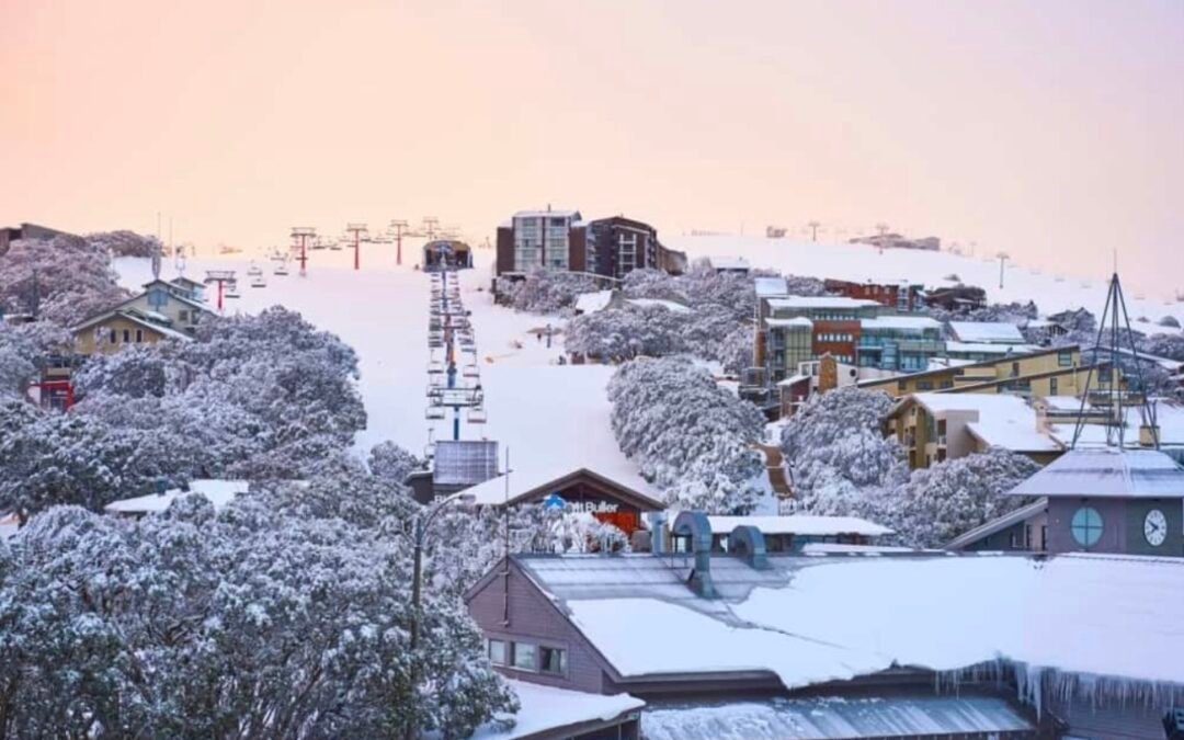 When Is the Best Time to Visit Mt Buller? Your Complete Season Guide